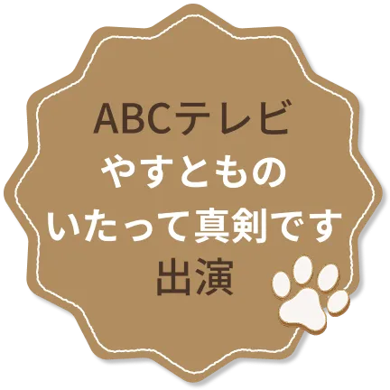 ABCテレビ『やすとものいたって真剣です』出演