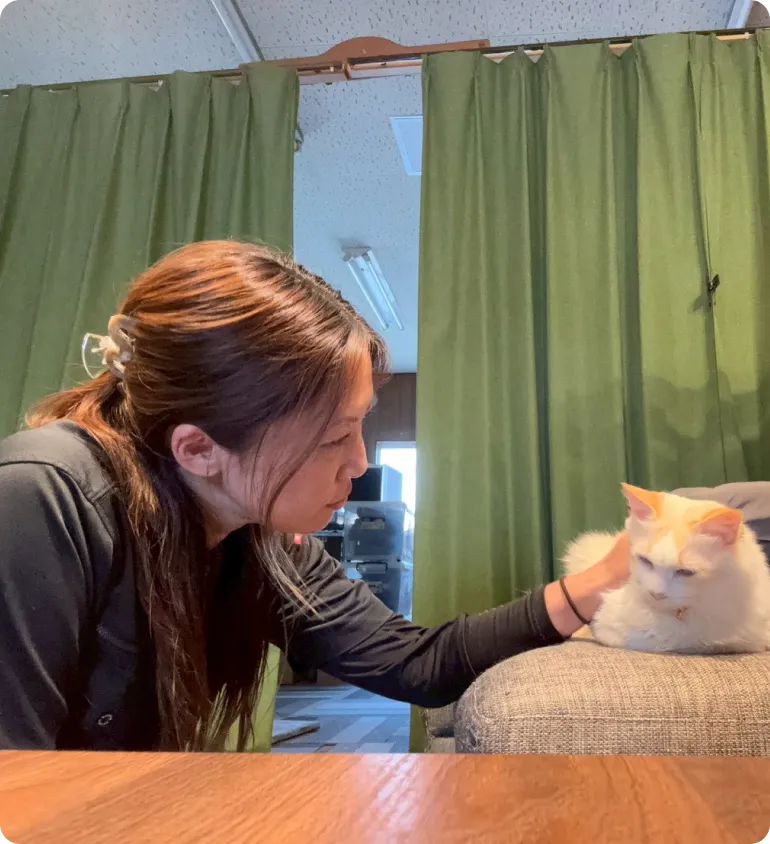 お客様の猫にやさしく寄り添うスタッフ
