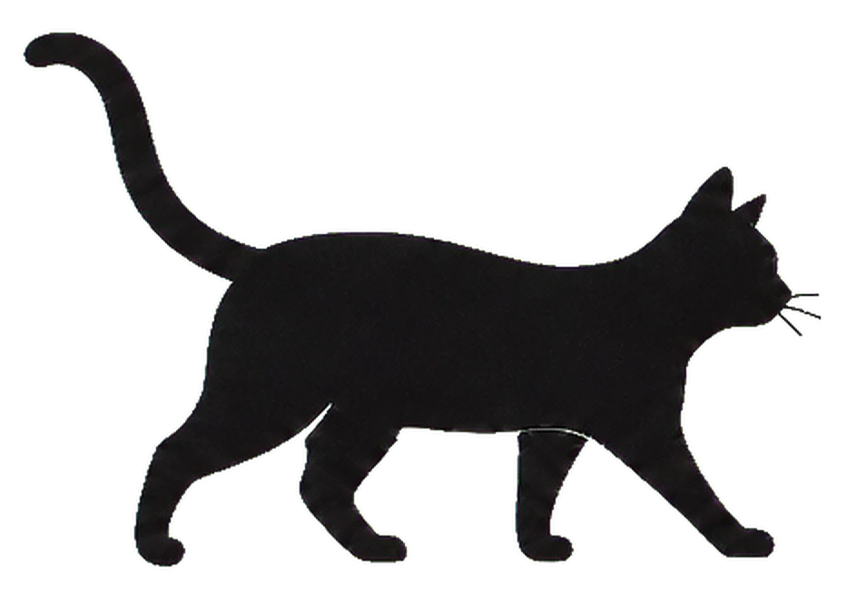 歩く猫